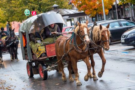 Konjeniški pohod Konjerejskega društva Radohova vas 9